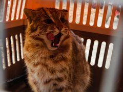 天津市蓟州区林业局联合蓟州区出头岭镇政府、